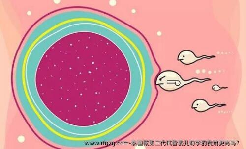 泰国做第三代代孕助孕的费用更高吗？
