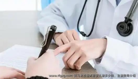 到马来西亚代孕要多少钱，主要费用介绍