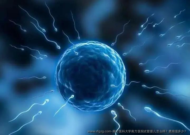 南方医科大学南方医院代孕怎么样？费用是多少？