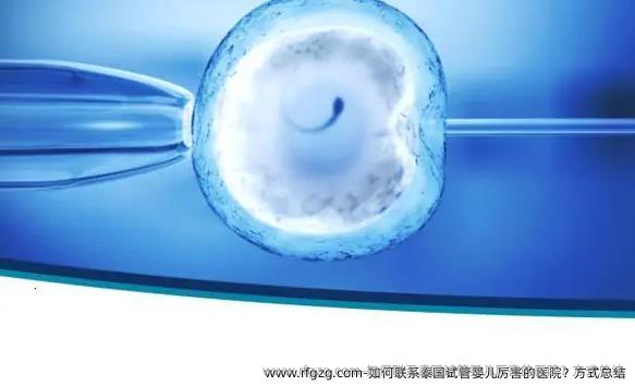 如何联系泰国代孕厉害的医院？方式总结