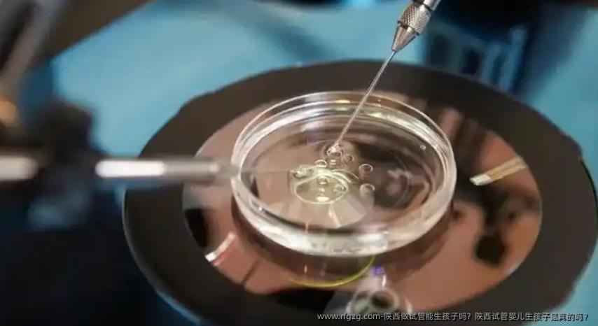 陕西做试管能生孩子吗？陕西代孕生孩子是真的吗？