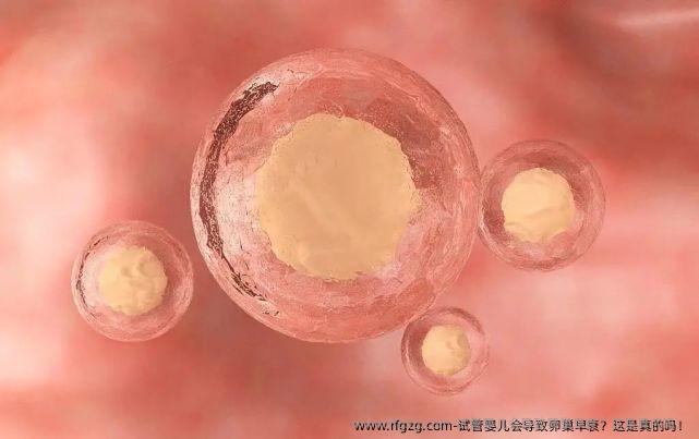 代孕会导致卵巢早衰？这是真的吗！