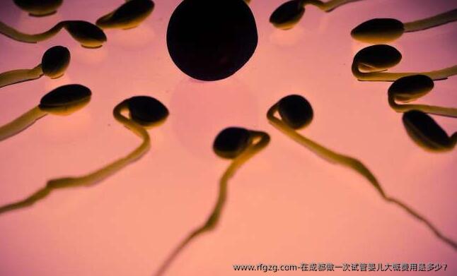 在成都做一次代孕大概费用是多少？